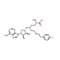 Nc1ncnc2c1ncn2[C@@H]1O[C@H](CN(CCNCCc2ccc(Cl)cc2)CC[C@H](N)C(=O)O)[C@@H](O)[C@H]1O ZINC000149923719