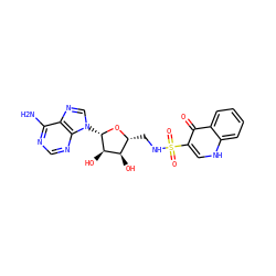 Nc1ncnc2c1ncn2[C@@H]1O[C@H](CNS(=O)(=O)c2c[nH]c3ccccc3c2=O)[C@@H](O)[C@H]1O ZINC000205892252