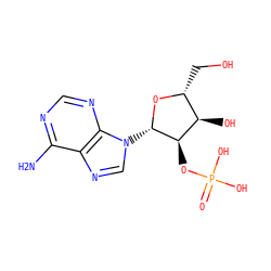 Nc1ncnc2c1ncn2[C@@H]1O[C@H](CO)[C@@H](O)[C@H]1OP(=O)(O)O ZINC000003861741