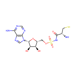 Nc1ncnc2c1ncn2[C@@H]1O[C@H](COS(=O)(=O)NC(=O)[C@@H](N)CS)[C@@H](O)[C@H]1O ZINC000024951193
