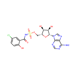 Nc1ncnc2c1ncn2[C@@H]1O[C@H](COS(=O)(=O)NC(=O)c2cc(Cl)ccc2O)[C@@H](O)[C@H]1O ZINC000028865782