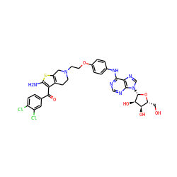 Nc1sc2c(c1C(=O)c1ccc(Cl)c(Cl)c1)CCN(CCOc1ccc(Nc3ncnc4c3ncn4[C@@H]3O[C@H](CO)[C@@H](O)[C@H]3O)cc1)C2 ZINC000049793896