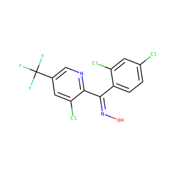 O/N=C(\c1ccc(Cl)cc1Cl)c1ncc(C(F)(F)F)cc1Cl ZINC000018045520