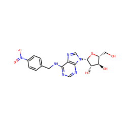 O=[N+]([O-])c1ccc(CNc2ncnc3c2ncn3[C@@H]2O[C@H](CO)[C@@H](O)[C@@H]2O)cc1 ZINC000016928611