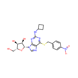 O=[N+]([O-])c1ccc(CSc2nc(NC3CCC3)nc3c2ncn3[C@@H]2O[C@H](CO)[C@@H](O)[C@H]2O)cc1 ZINC000028875740