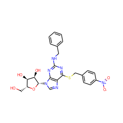 O=[N+]([O-])c1ccc(CSc2nc(NCc3ccccc3)nc3c2ncn3[C@@H]2O[C@H](CO)[C@@H](O)[C@H]2O)cc1 ZINC000028875757