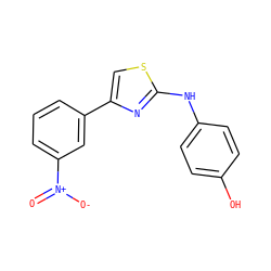 O=[N+]([O-])c1cccc(-c2csc(Nc3ccc(O)cc3)n2)c1 ZINC000000440786