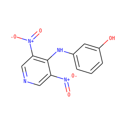 O=[N+]([O-])c1cncc([N+](=O)[O-])c1Nc1cccc(O)c1 ZINC000005017055