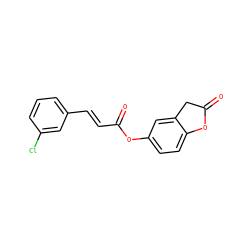 O=C(/C=C/c1cccc(Cl)c1)Oc1ccc2c(c1)CC(=O)O2 ZINC000064251915
