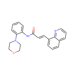 O=C(/C=C/c1cccc2cccnc12)Nc1ccccc1N1CCOCC1 ZINC000105540980