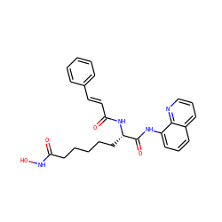 O=C(/C=C/c1ccccc1)N[C@@H](CCCCCC(=O)NO)C(=O)Nc1cccc2cccnc12 ZINC000040577089