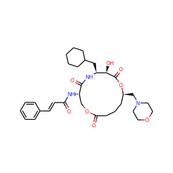 O=C(/C=C/c1ccccc1)N[C@H]1COC(=O)CCC[C@H](CN2CCOCC2)OC(=O)[C@H](O)[C@H](CC2CCCCC2)NC1=O ZINC000027200448