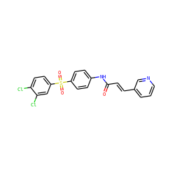 O=C(/C=C/c1cccnc1)Nc1ccc(S(=O)(=O)c2ccc(Cl)c(Cl)c2)cc1 ZINC000142237792