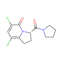 O=C([C@@H]1CCc2c(Cl)cc(Cl)c(=O)n21)N1CCCC1 ZINC000040933001