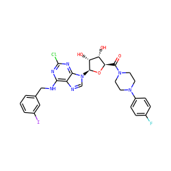 O=C([C@H]1O[C@@H](n2cnc3c(NCc4cccc(I)c4)nc(Cl)nc32)[C@H](O)[C@@H]1O)N1CCN(c2ccc(F)cc2)CC1 ZINC000096901075
