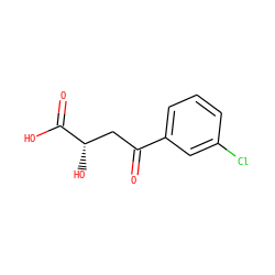 O=C(C[C@H](O)C(=O)O)c1cccc(Cl)c1 ZINC000026743639