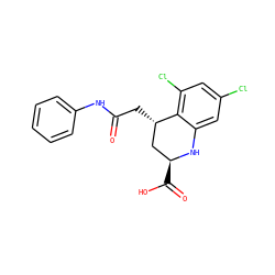 O=C(C[C@H]1C[C@H](C(=O)O)Nc2cc(Cl)cc(Cl)c21)Nc1ccccc1 ZINC000013455350