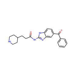 O=C(CCC1CCNCC1)Nc1nc2cc(C(=O)c3ccccc3)ccc2[nH]1 ZINC000084688703
