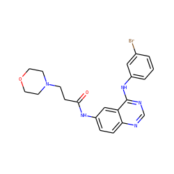O=C(CCN1CCOCC1)Nc1ccc2ncnc(Nc3cccc(Br)c3)c2c1 ZINC000039165996