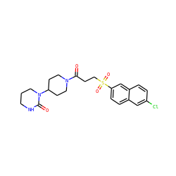 O=C(CCS(=O)(=O)c1ccc2cc(Cl)ccc2c1)N1CCC(N2CCCNC2=O)CC1 ZINC000049053673