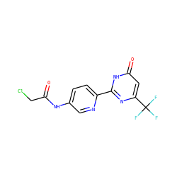 O=C(CCl)Nc1ccc(-c2nc(C(F)(F)F)cc(=O)[nH]2)nc1 ZINC000064527378
