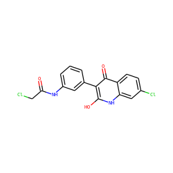 O=C(CCl)Nc1cccc(-c2c(O)[nH]c3cc(Cl)ccc3c2=O)c1 ZINC000013801572