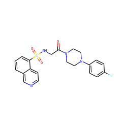 O=C(CNS(=O)(=O)c1cccc2cnccc12)N1CCN(c2ccc(F)cc2)CC1 ZINC000028704985