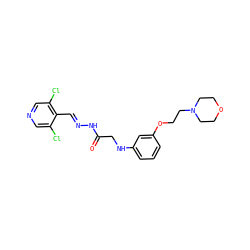 O=C(CNc1cccc(OCCN2CCOCC2)c1)N/N=C/c1c(Cl)cncc1Cl ZINC000142167910