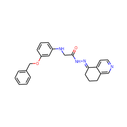 O=C(CNc1cccc(OCc2ccccc2)c1)N/N=C1\CCCc2cnccc21 ZINC001772588847