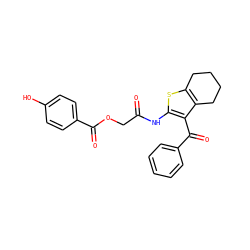 O=C(COC(=O)c1ccc(O)cc1)Nc1sc2c(c1C(=O)c1ccccc1)CCCC2 ZINC000013141256