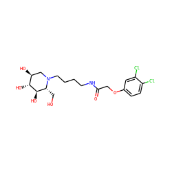 O=C(COc1ccc(Cl)c(Cl)c1)NCCCCN1C[C@H](O)[C@@H](O)[C@H](O)[C@H]1CO ZINC000096282608