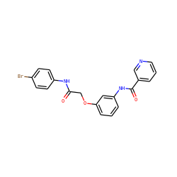 O=C(COc1cccc(NC(=O)c2cccnc2)c1)Nc1ccc(Br)cc1 ZINC000000873517