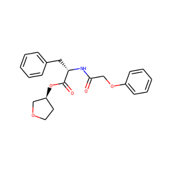 O=C(COc1ccccc1)N[C@@H](Cc1ccccc1)C(=O)O[C@H]1CCOC1 ZINC000653875534