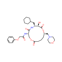 O=C(COc1ccccc1)N[C@H]1COC(=O)CCC[C@H](CN2CCOCC2)OC(=O)[C@H](O)[C@H](CC2CCCCC2)NC1=O ZINC000027200454