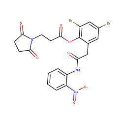 O=C(Cc1cc(Br)cc(Br)c1OC(=O)CCN1C(=O)CCC1=O)Nc1ccccc1[N+](=O)[O-] ZINC000299860405