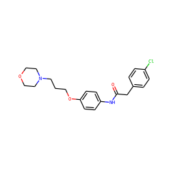O=C(Cc1ccc(Cl)cc1)Nc1ccc(OCCCN2CCOCC2)cc1 ZINC000043075790