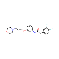O=C(Cc1ccc(F)c(F)c1)Nc1cccc(OCCCN2CCOCC2)c1 ZINC000043061061