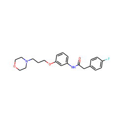 O=C(Cc1ccc(F)cc1)Nc1cccc(OCCCN2CCOCC2)c1 ZINC000043061018