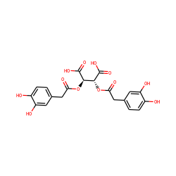 O=C(Cc1ccc(O)c(O)c1)O[C@@H](C(=O)O)[C@@H](OC(=O)Cc1ccc(O)c(O)c1)C(=O)O ZINC000013556365