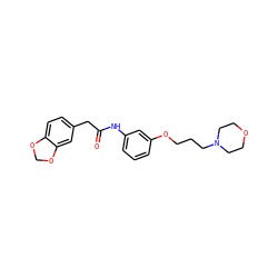 O=C(Cc1ccc2c(c1)OCO2)Nc1cccc(OCCCN2CCOCC2)c1 ZINC000043016894