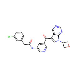 O=C(Cc1cccc(Cl)c1)Nc1cncc(C(=O)c2cn(C3COC3)c3ncncc23)c1 ZINC000169707777