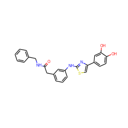 O=C(Cc1cccc(Nc2nc(-c3ccc(O)c(O)c3)cs2)c1)NCc1ccccc1 ZINC001772651071