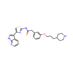 O=C(Cc1cccc(OCCCC2CCNCC2)c1)Nc1nc(-c2c[nH]c3ncccc23)cs1 ZINC000035821381