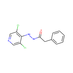 O=C(Cc1ccccc1)NNc1c(Cl)cncc1Cl ZINC000084654743