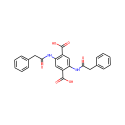 O=C(Cc1ccccc1)Nc1cc(C(=O)O)c(NC(=O)Cc2ccccc2)cc1C(=O)O ZINC000009310951