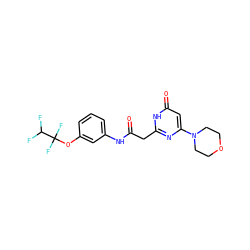 O=C(Cc1nc(N2CCOCC2)cc(=O)[nH]1)Nc1cccc(OC(F)(F)C(F)F)c1 ZINC000115066565