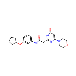 O=C(Cc1nc(N2CCOCC2)cc(=O)[nH]1)Nc1cccc(OC2CCCC2)c1 ZINC000115067878