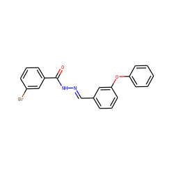 O=C(N/N=C/c1cccc(Oc2ccccc2)c1)c1cccc(Br)c1 ZINC000001957796