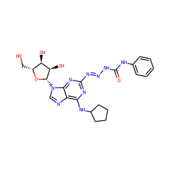 O=C(N/N=N/c1nc(NC2CCCC2)c2ncn([C@@H]3O[C@H](CO)[C@@H](O)[C@H]3O)c2n1)Nc1ccccc1 ZINC000013517448