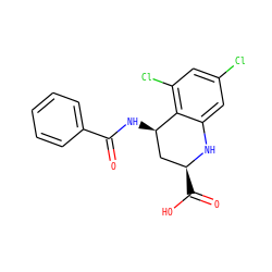 O=C(N[C@@H]1C[C@H](C(=O)O)Nc2cc(Cl)cc(Cl)c21)c1ccccc1 ZINC000013455231